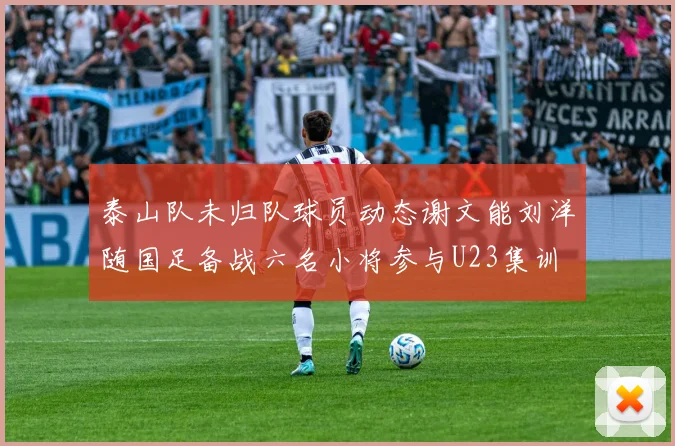 泰山队未归队球员动态谢文能刘洋随国足备战六名小将参与U23集训